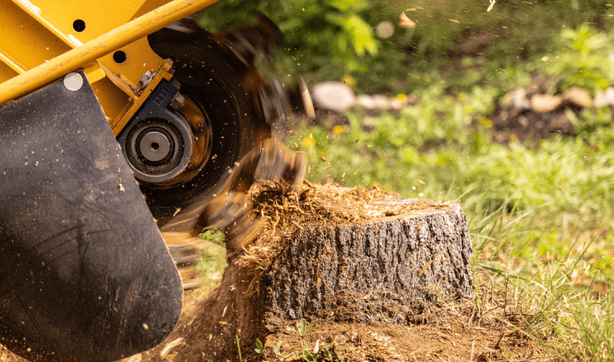 Stump Grinding
